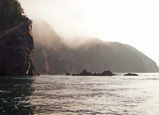 On the 31st Parinirvana