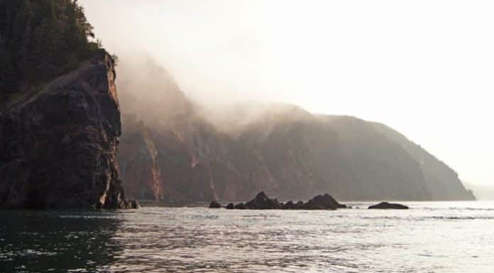 On the 31st Parinirvana