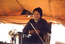 In the North of the Sky