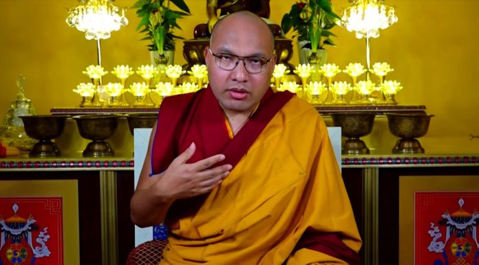 Special Message from His Holiness the Karmapa