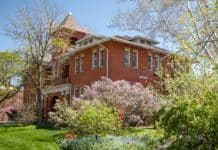 Irrepressible Teachings, Ngedön School, and The Next Ten Volumes of The Collected Works