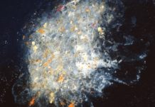 Book Review: Contemplations on Anxiety, Stress and Mindfulness