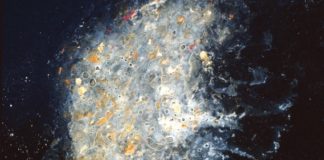 Book Review: Contemplations on Anxiety, Stress and Mindfulness