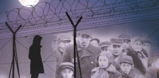 A Profound Book of Love and Warriorship