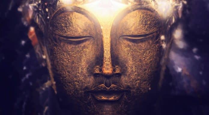 Questions Regarding Death and Transmigration