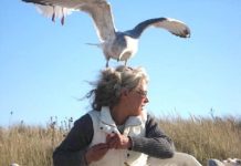 Tribute to Hildy Maze