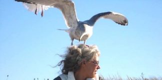 Tribute to Hildy Maze