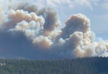 A Message from Lady Diana Mukpo Regarding the SMC Fire