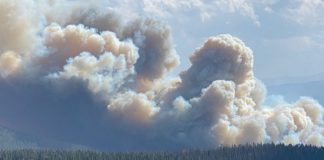 A Message from Lady Diana Mukpo Regarding the SMC Fire