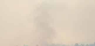 Damage From the Cameron Peak Fire