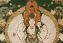 In Zion with a Blue Breasted Rainbow Finch