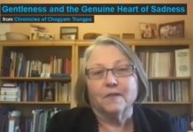 Gentleness and the Genuine Heart of Sadness