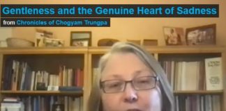 Gentleness and the Genuine Heart of Sadness