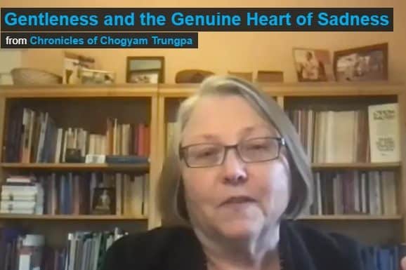 Gentleness and the Genuine Heart of Sadness