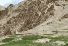 Andrew Quintman On Milarepa