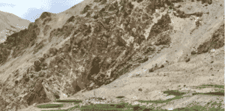 Andrew Quintman On Milarepa