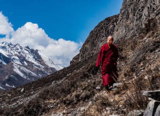 Premier: Wandering…But Not Lost