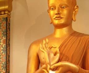 Class: Unconditional Love