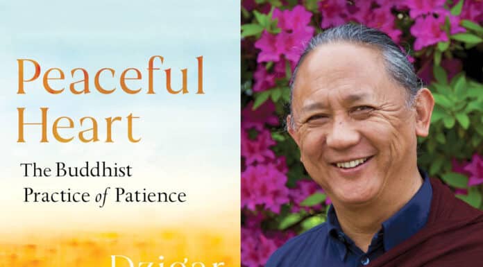 A Conversation with Dzigar Kongtrul Rinpoche on Peaceful Heart