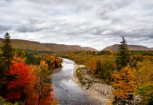 Tribute to Ann Hodson