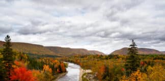 Tribute to Ann Hodson