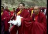 World Premier: Traleg Rinpoche Documentary Film