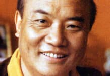 16th Karmapa: Interview with a Buddha