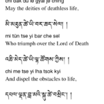 2 Supplication for Thangu Rinp8oche by the 17 Karmapa