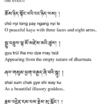 1 Supplication for Thangu Rinpoche by the 17 Karmapa