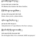 5 Supplication for Thangu Rinpoche by the 17 Karmapa