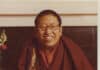 The Cremation of Khenchen Thrangu Rinpoche Notes from Nepal, November, 2023