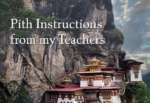 Review of Pith Instructions from my Teachers