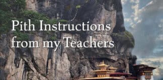 Review of Pith Instructions from my Teachers