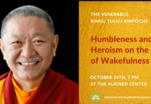 Ringu Tulku Rinpoche on Humbleness and Heroism