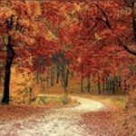 Miriam – suddenly – Copy