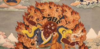 Devotion & Crazy Wisdom! A Sadhana of Mahamudra Book Launch (in-person & online)