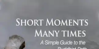 Introduction to Short Moments, Many Times