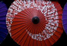 Unbridled Perception: An interview with Miksang practitioners Michael Wood and Julie Dubose from the Kyoto Journal