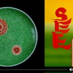 You Are The Masterpiece