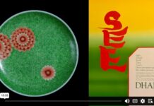 You Are The Masterpiece