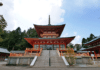 A Journey Through Buddhist Japan